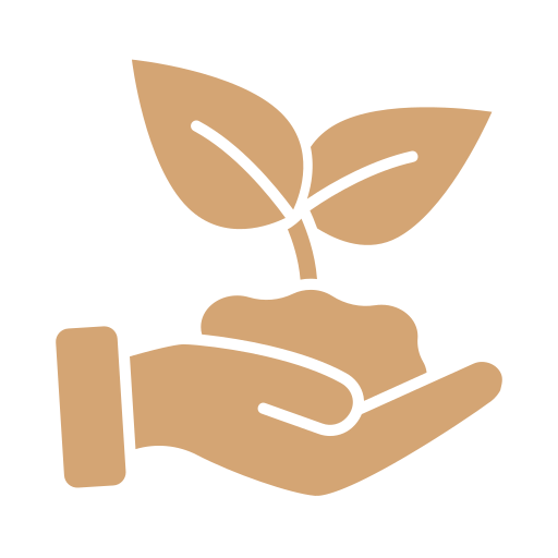 Icone développement local